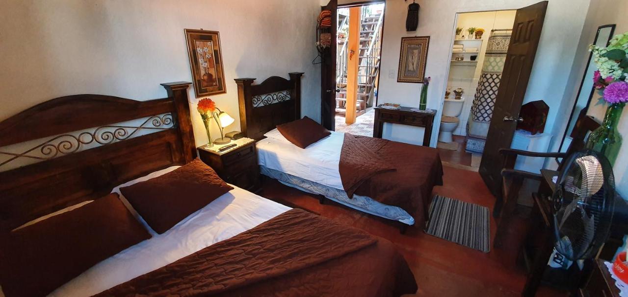 Parrot House Bed & Breakfast Antigua Eksteriør bilde
